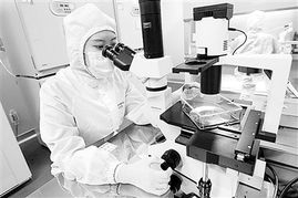 干細胞療法的 春天 漸行漸近