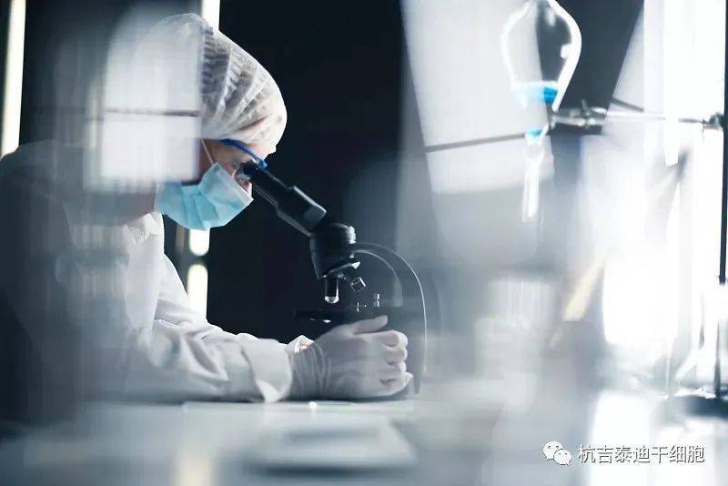 干細(xì)胞技術(shù)治療漸凍癥的潛在挑戰(zhàn) 不良反應(yīng)、費(fèi)用與未來展望