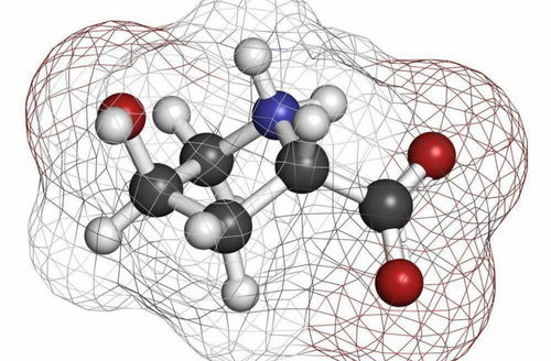 干細胞技術與人造器官 解鎖生命科學新紀元