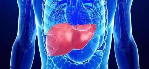 新品前瞻 | 人體干細胞技術 為人體“化工廠”肝臟，開啟科學排毒新紀元