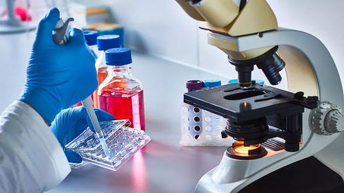 從突破性檢測到再生醫學 血液篩查與干細胞技術如何重塑卵巢癌防治未來