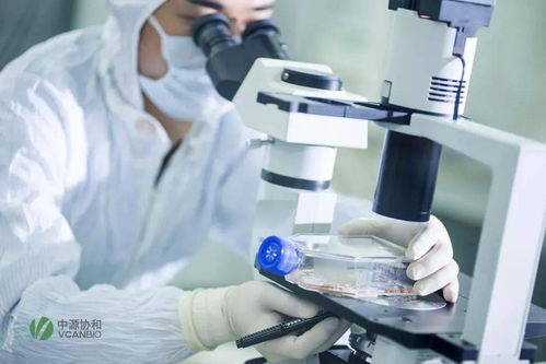 干細胞技術 重塑生命的鑰匙與國家戰略的焦點