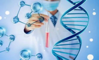 干細胞技術的新紀元 康悅生命科技領航八大疾病治療革命